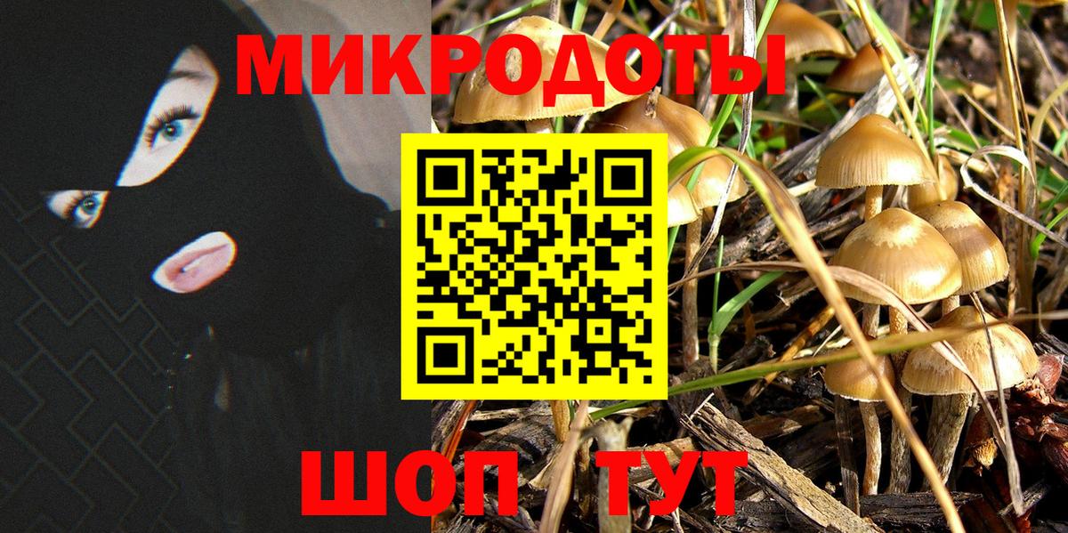Галлюциногенные грибы Psilocybine cubensis  Вход с VPN  Новоуральск 